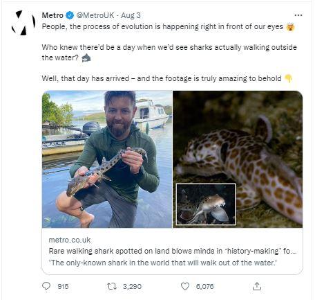 Peaple th 7 mewo 4 Who