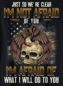 JUST SO WE'RE CLEAR I'M NOT AFRAID OF YOU I'M AFRAID OF WHAT I WILL DO TO YOU