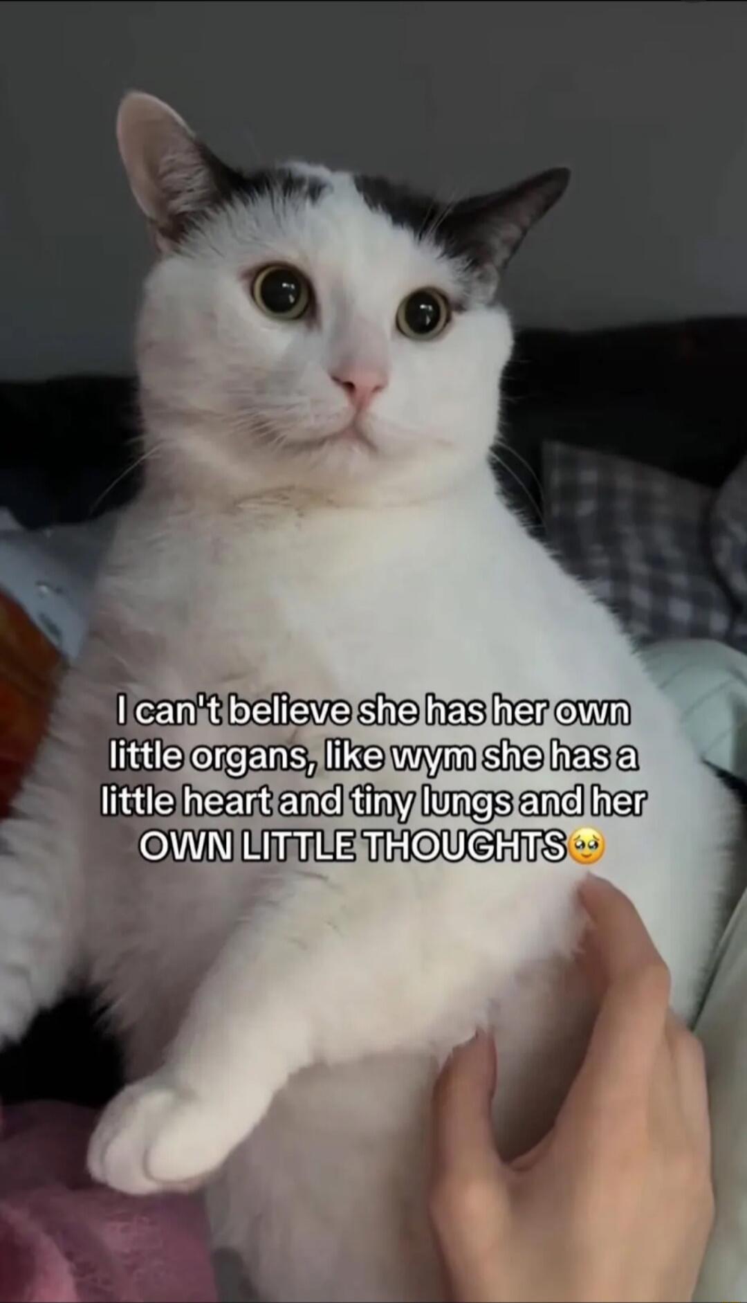 I can't believe she has her own little organs, like wym she has a little heart and tiny lungs and her OWN LITTLE THOUGHTS 🥺