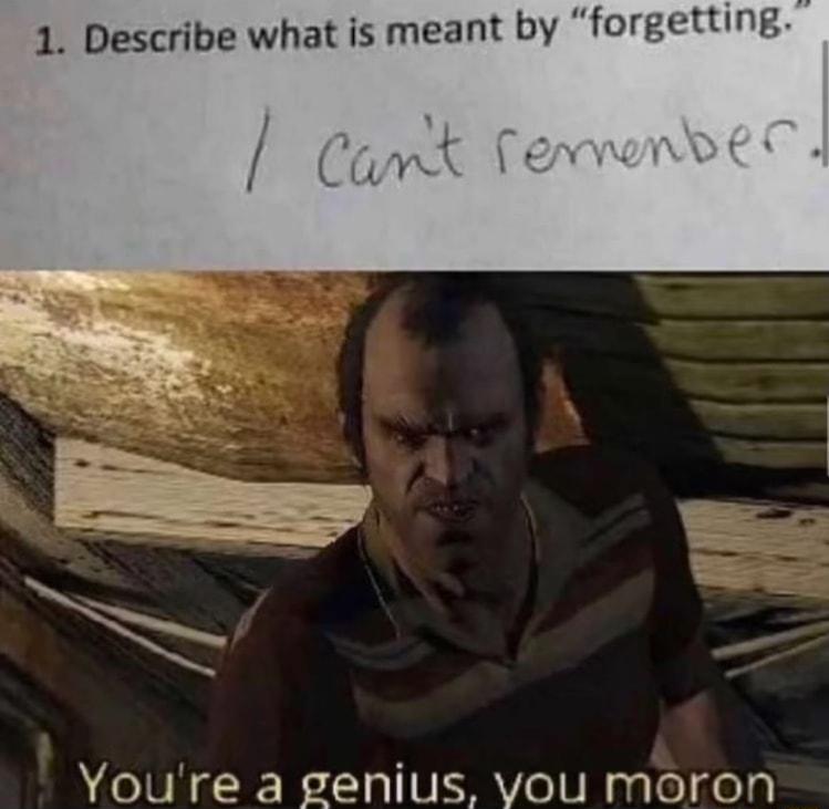 1 Describe what is meant by forgetting Youre a genius vou moron