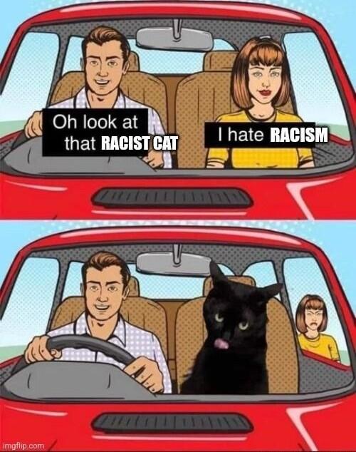 5 b I hate RAGISM S N look that RAGISTCAT e t o