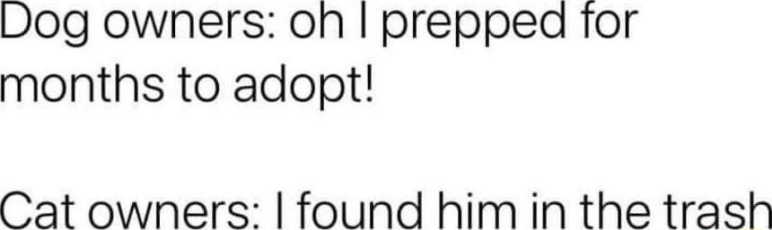 Dog owners on prepped for months to adopt Cat owners found him in the trash
