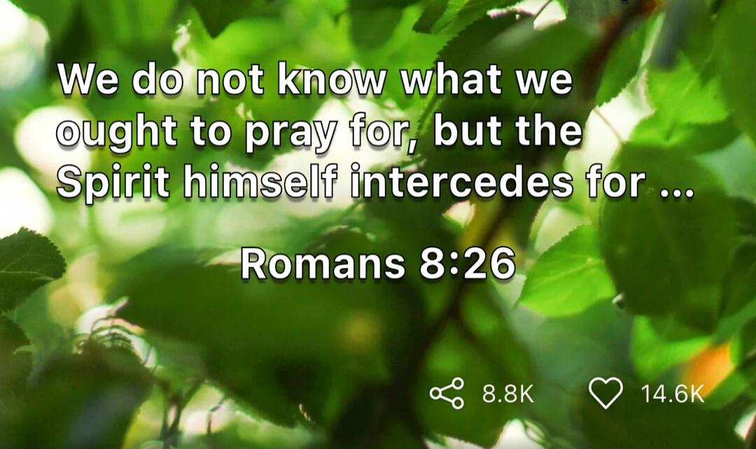 We do not know what we ought to pray for, but the Spirit himself intercedes for ... Romans 8:26
