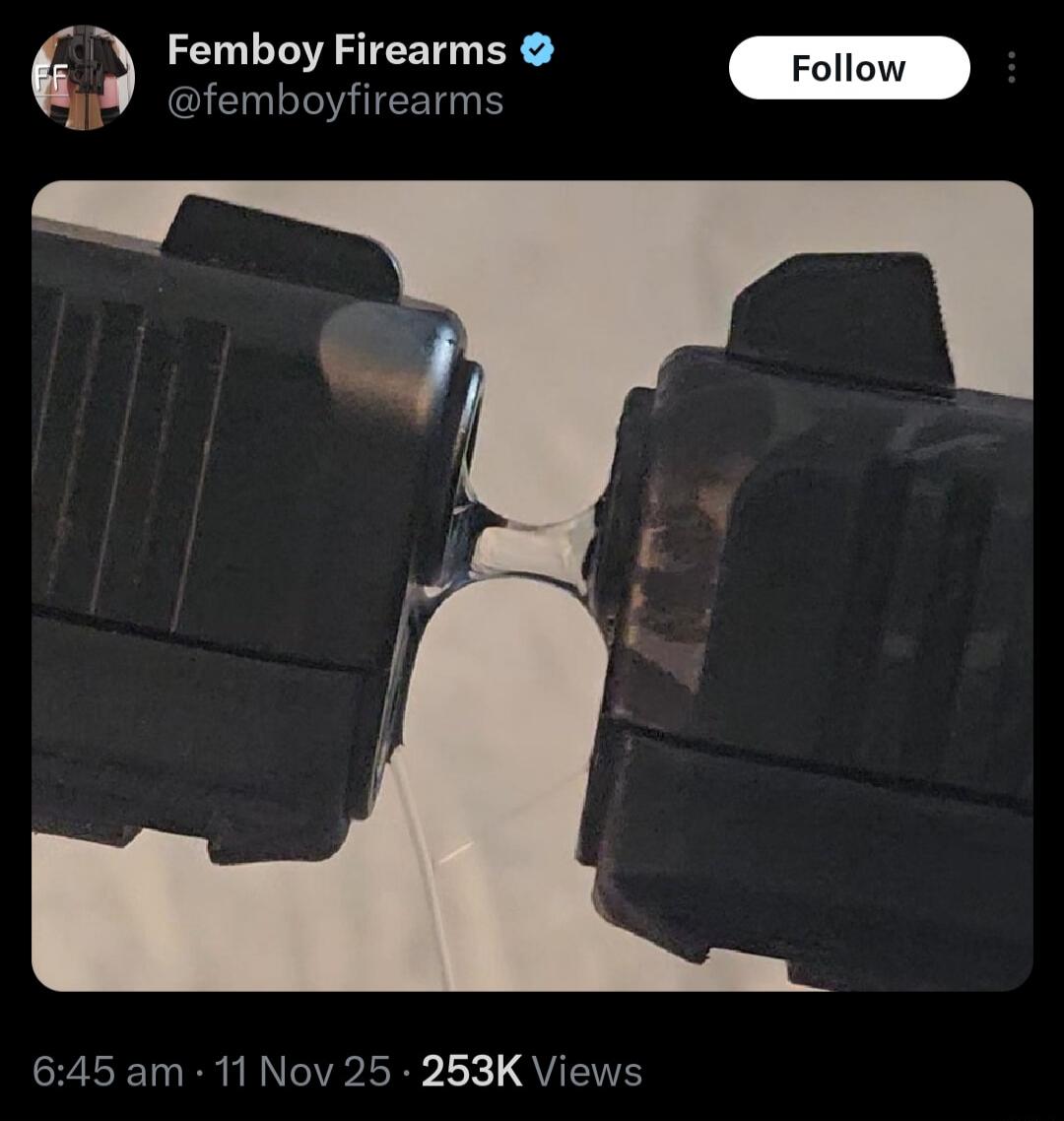 Femboy Firearms @femboyfirearms Follow\n6:45 am · 11 Nov 25 · 253K Views