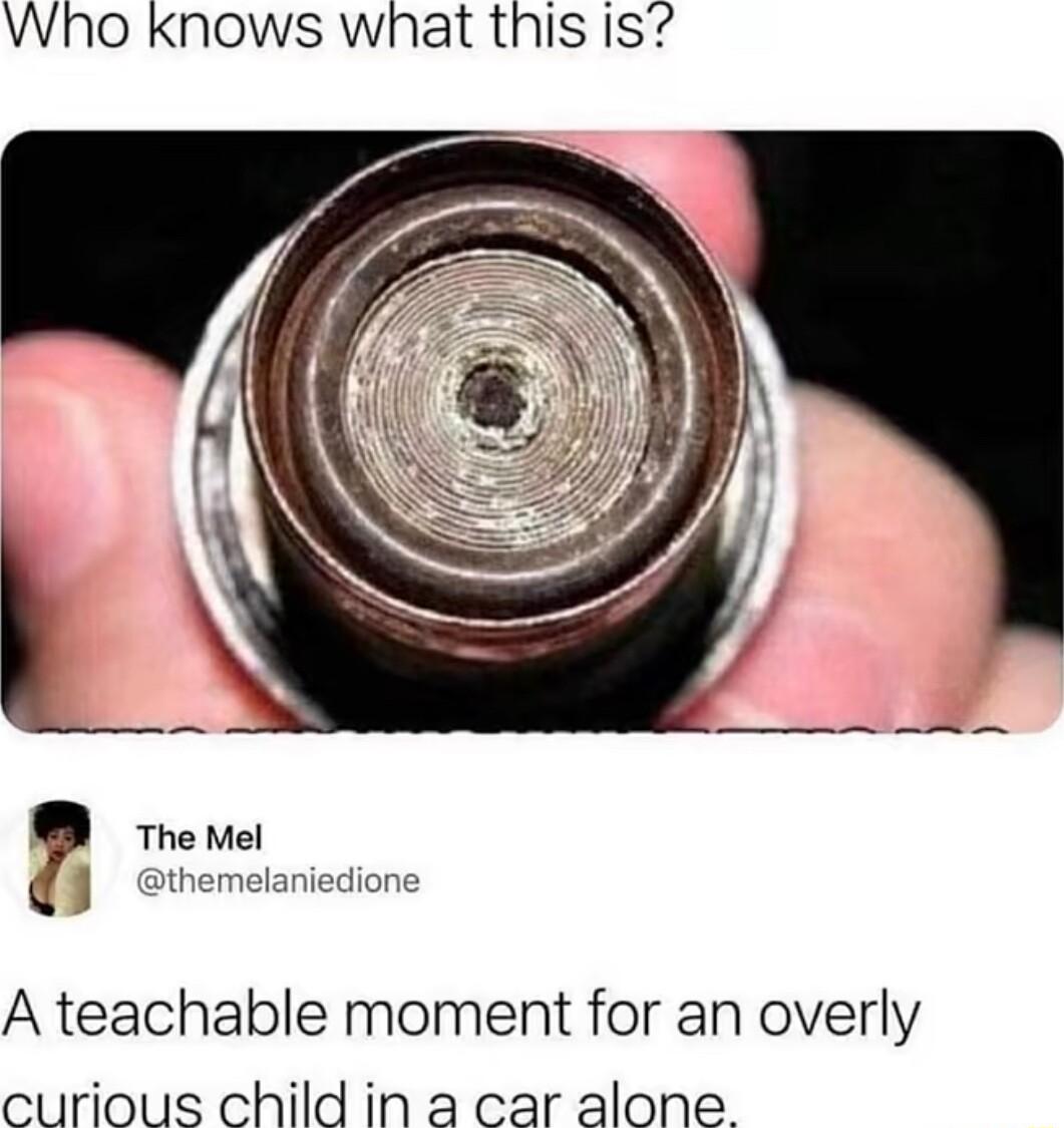 Who knows what this Is The Mel Sthemelaniedione A teachable moment for an overly curious child in a car alone