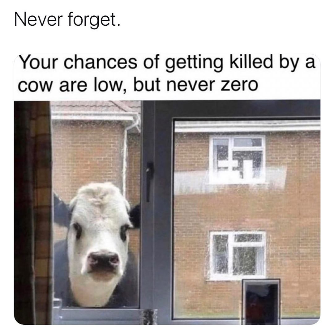 Never forget Your chances of getting killed by a cow are low but never zero A AT