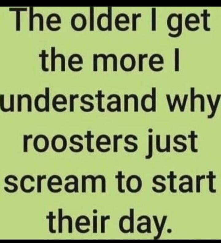 The older I get the more I understand why roosters just scream to start their day.