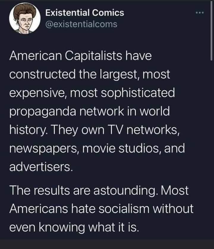 IS Gl E Nl 1o SS ChlE el American Capitalists have constructed the largest most expensive most sophisticated propaganda network in world history They own TV networks newspapers movie studios and advertisers LG CHVISEICE R eV gleIale MY o Americans hate socialism without even knowing what it is