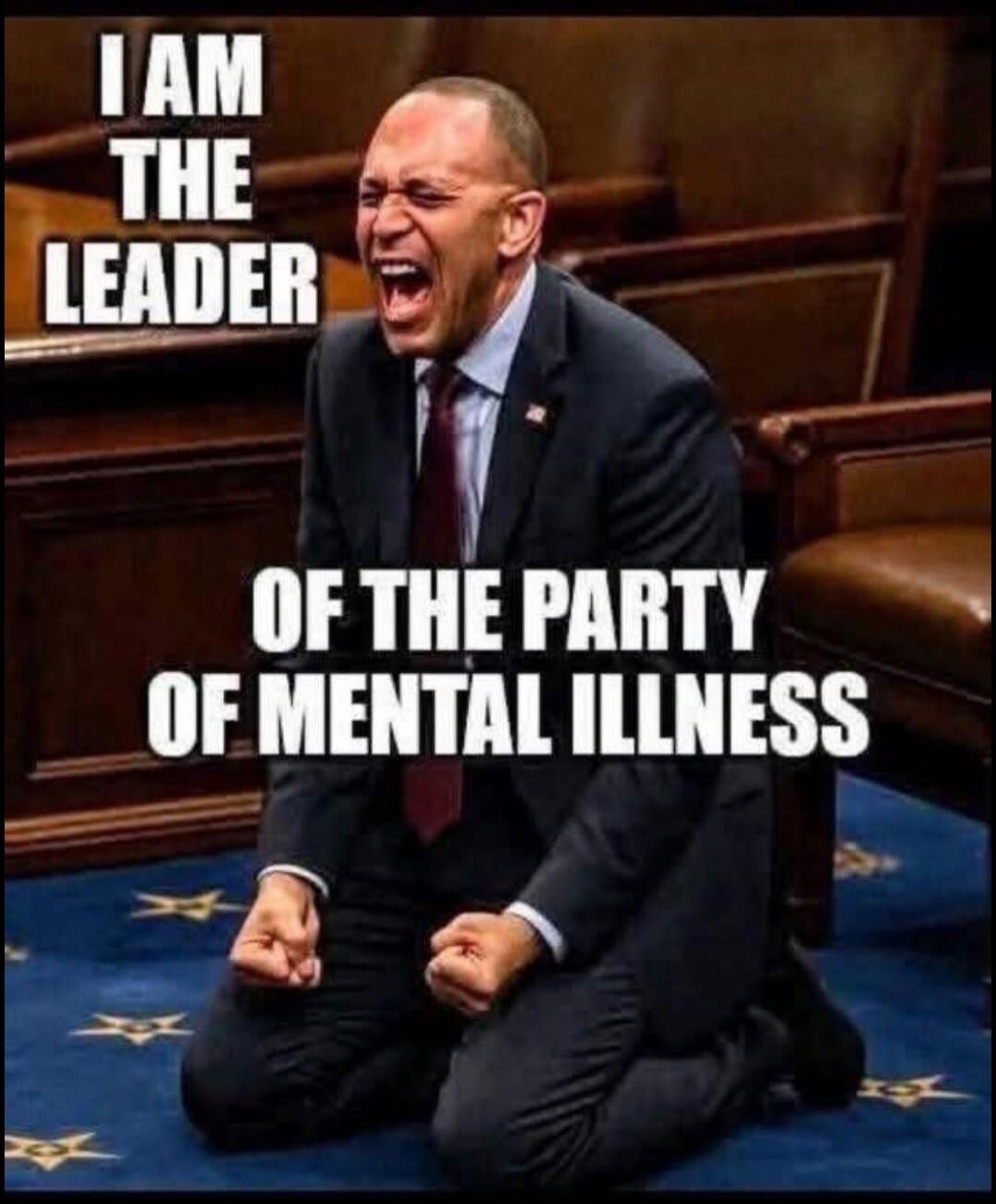 I AM THE LEADER OF THE PARTY OF MENTAL ILLNESS