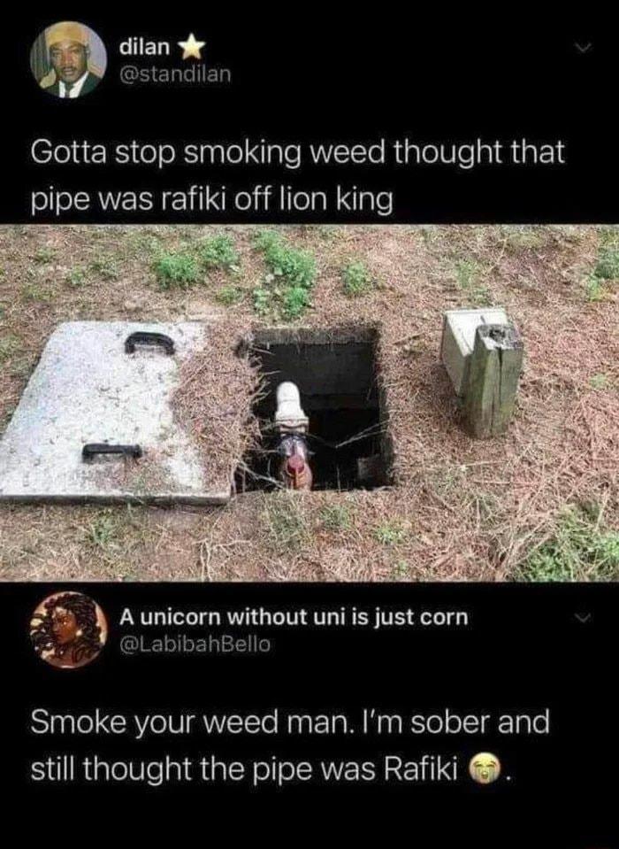 I dilan 9 GEELEIE Gotta stop smoking weed thought that pipe was rafiki off lion king icorn without uni is just corn ahBello Smoke your weed man Im sober and still thought the pipe was Rafiki