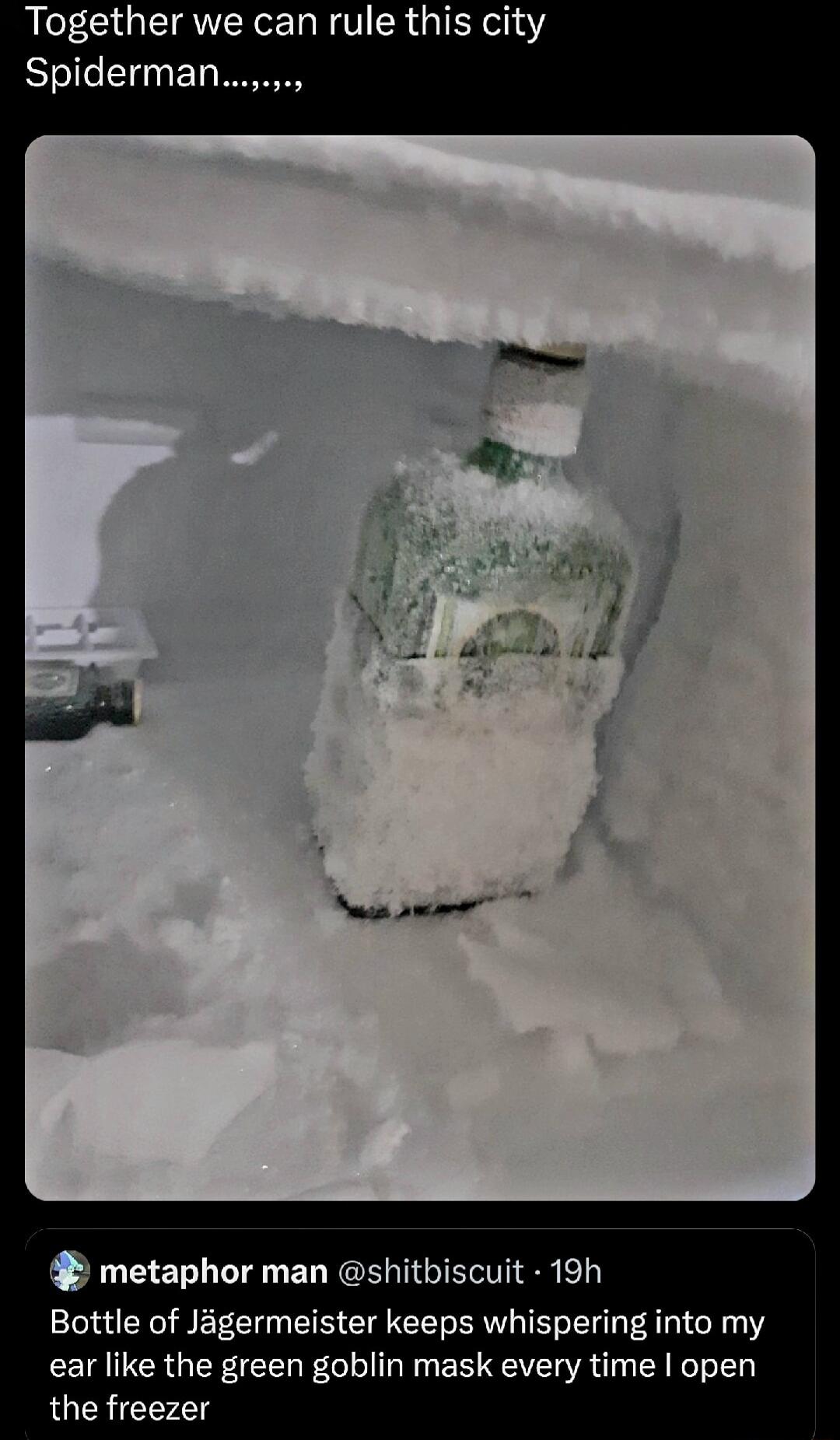 Together we can rule this city Slelle11FT I O metaphor man shitbiscuit 19h Bottle of Jagermeister keeps whispering into my ear like the green goblin mask every time open the freezer