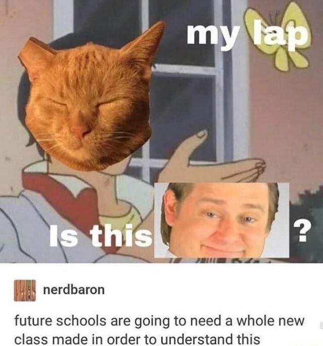 AH nerdbaron future schools are going to need a whole new class made in order to understand this