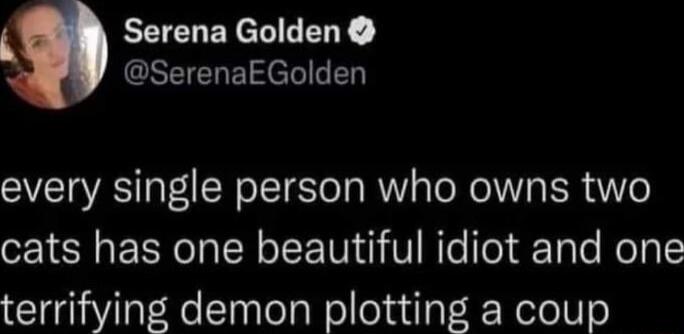 Serena Golden GSEIENEIe D every single person who owns two cats has one beautiful idiot and one terrifying demon plotting a coup