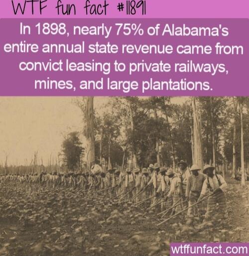 In 1898 nearly 75 of Alabamas entire annual state revenue came from convict leasing to private railways L EERET T ET R wiffunfactcom