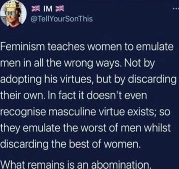 EVE GS T Feminism teaches women to emulate men in all the wrong ways Not by ZleloolU1aTe RTRVII VI o 01 oVAe YoTe IgTe their own In fact it doesnt even recognise masculine virtue exists so QEEEINVETCR QA S Eel A KT discarding the best of women What remains is an abomination