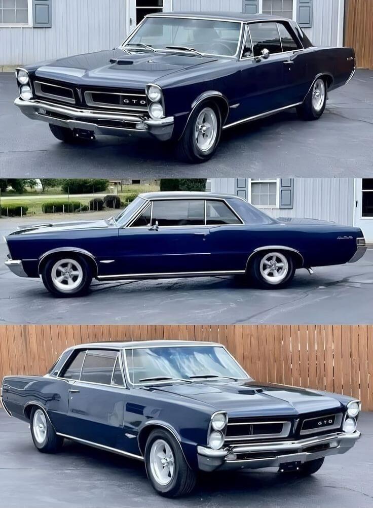 GTO