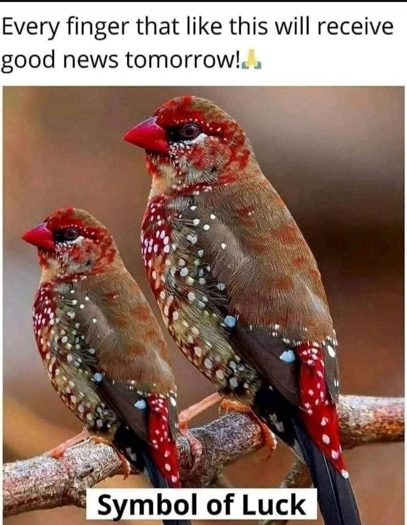 Every finger that like this will receive good news tomorrow! Symbol of Luck