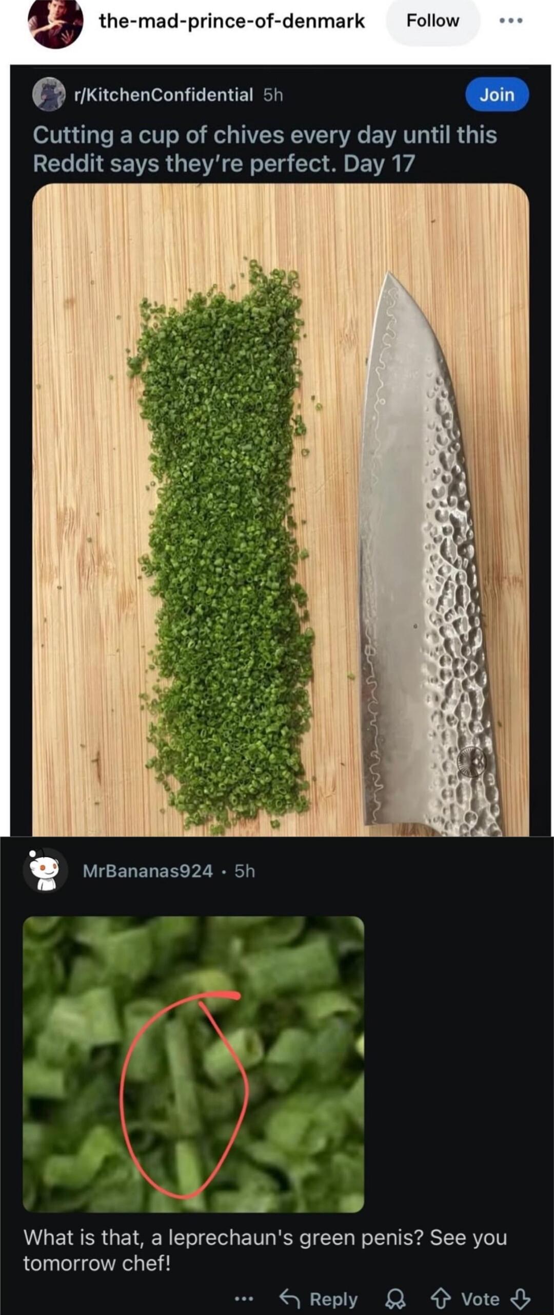 Cutting a cup of chives every day until this Reddit says they're perfect. Day 17

What is that, a leprechaun's green penis? See you tomorrow chef!