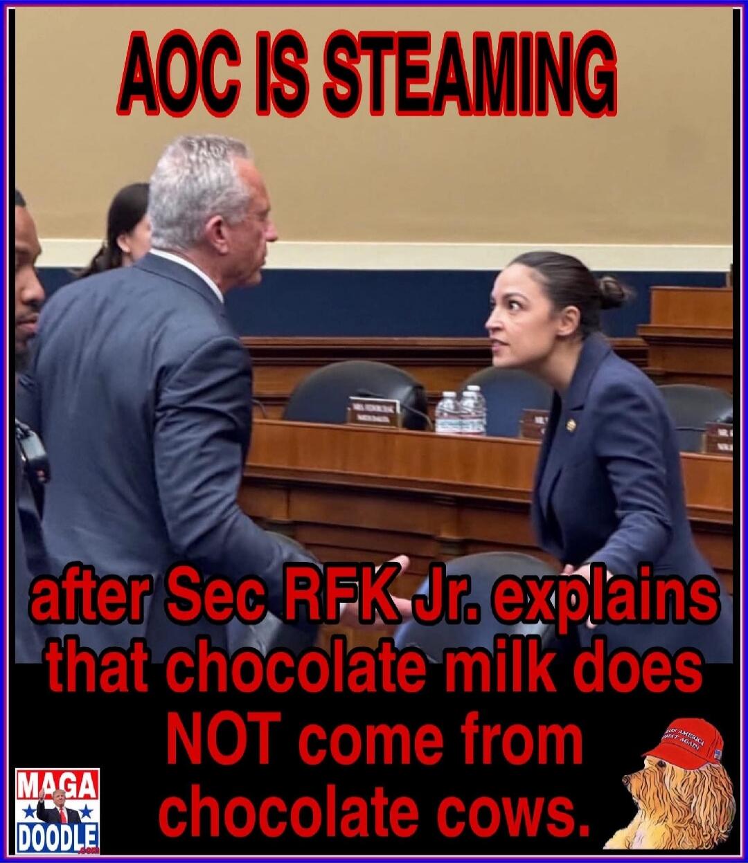 AOC IS STEAMING after Sec RFK Jr. explains that chocolate milk does NOT come from chocolate cows. MAGA DOODLE
