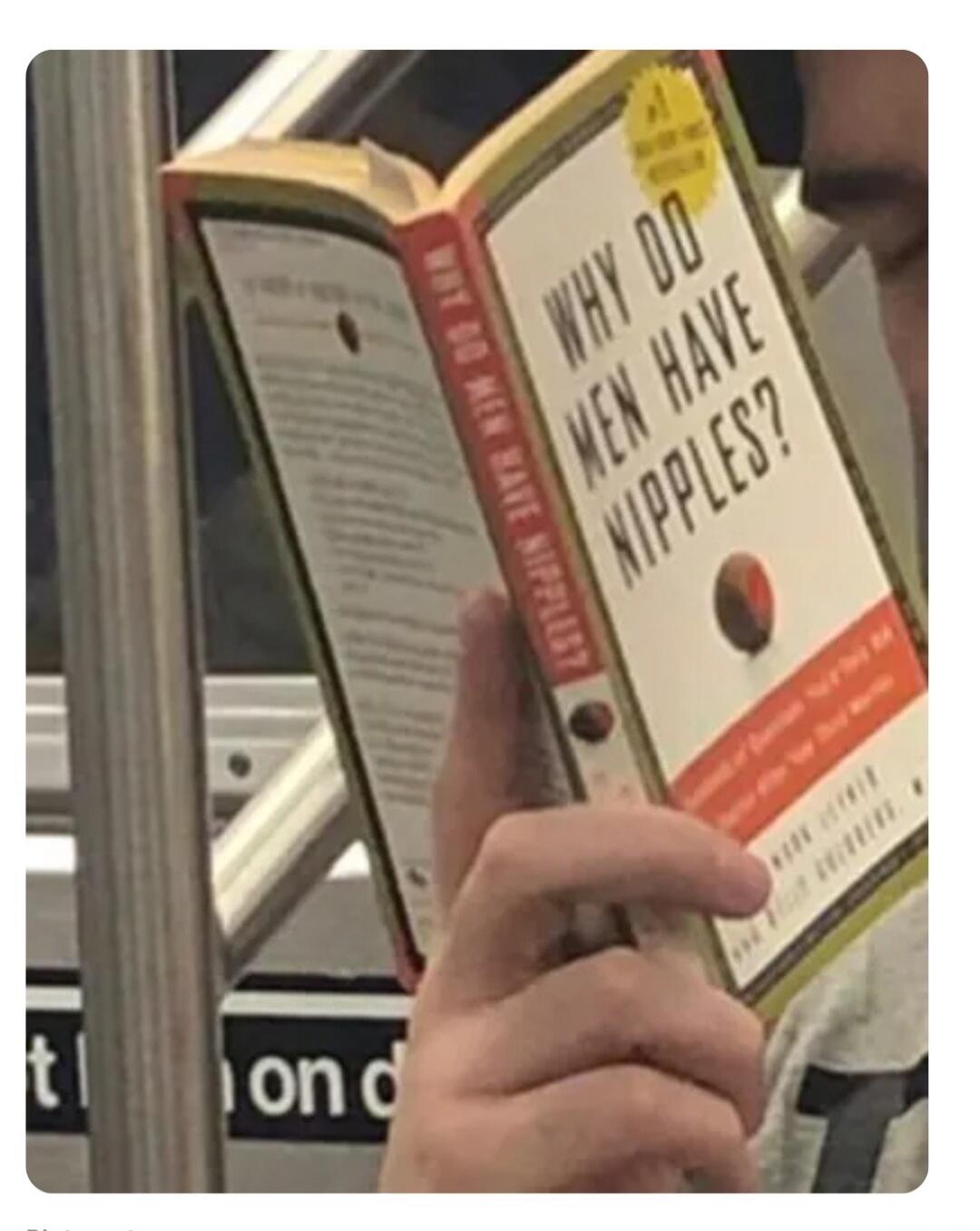 WHY DO MEN HAVE NIPPLES?