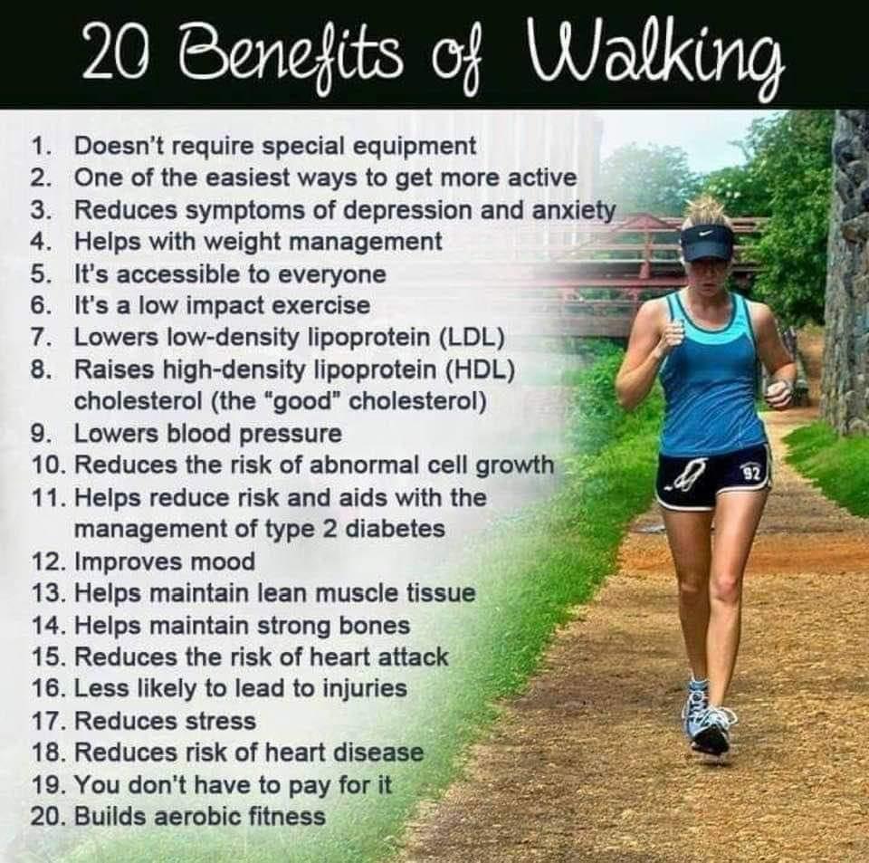 Doesnt require special equipment One of the easiest ways to get more active Reduces symptoms of depression and anxiety Helps with weight management Its accessible to everyone Its a low impact exercise Lowers low density lipoprotein LDL Raises high density lipoprotein HDL cholesterol the good cholesterol Lowers blood pressure Reduces the risk of abnormal cell growth Helps reduce risk and aids with 