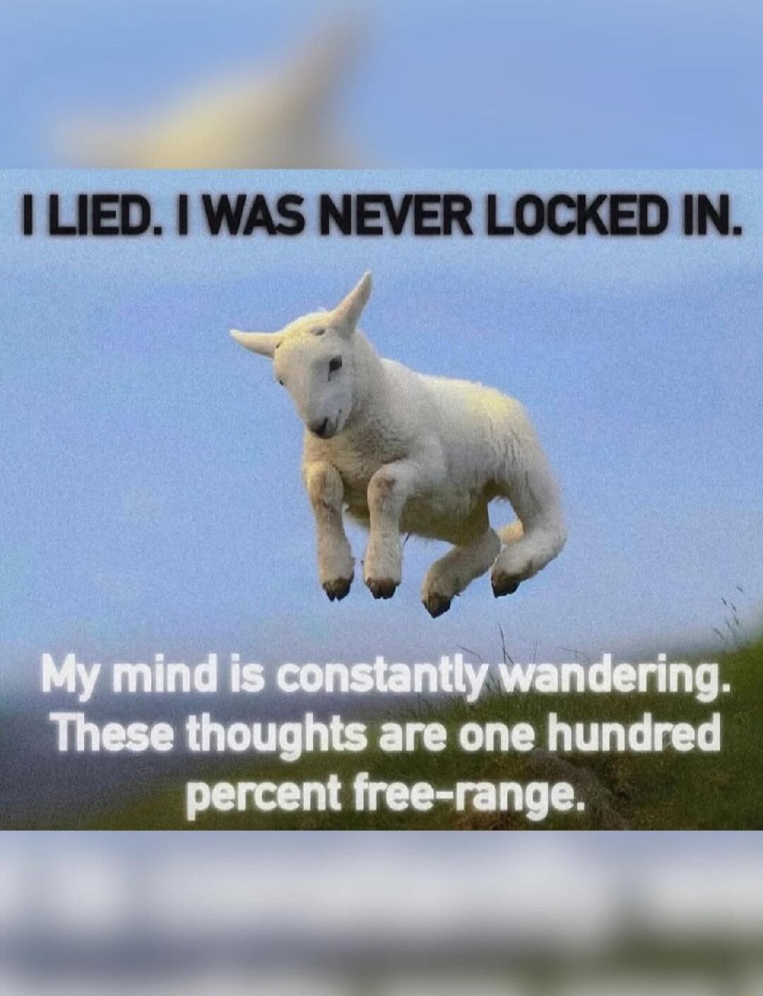I LIED. I WAS NEVER LOCKED IN. My mind is constantly wandering. These thoughts are one hundred percent free-range.