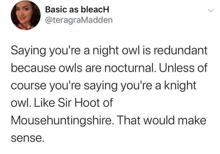 Basic as bleacH teragraMadden Saying youre a night owl is redundant because owls are nocturnal Unless of course youre saying youre a knight owl Like Sir Hoot of Mousehuntingshire That would make sense