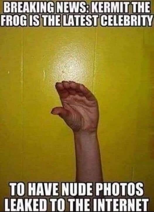 BREAKING NEWS: KERMIT THE FROG IS THE LATEST CELEBRITY TO HAVE NUDE PHOTOS LEAKED TO THE INTERNET