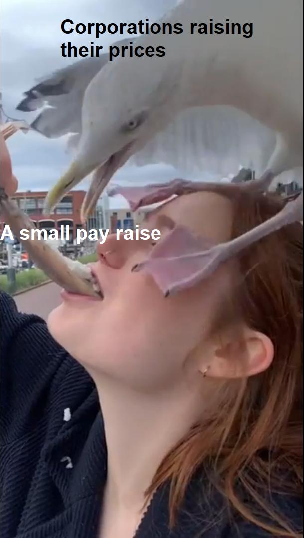 Corporations raising their prices