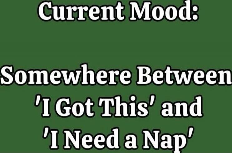 Current Mood: Somewhere Between 'I Got This' and 'I Need a Nap'