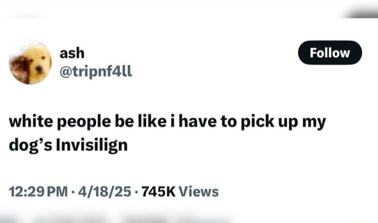 white people be like i have to pick up my dog's Invisilign