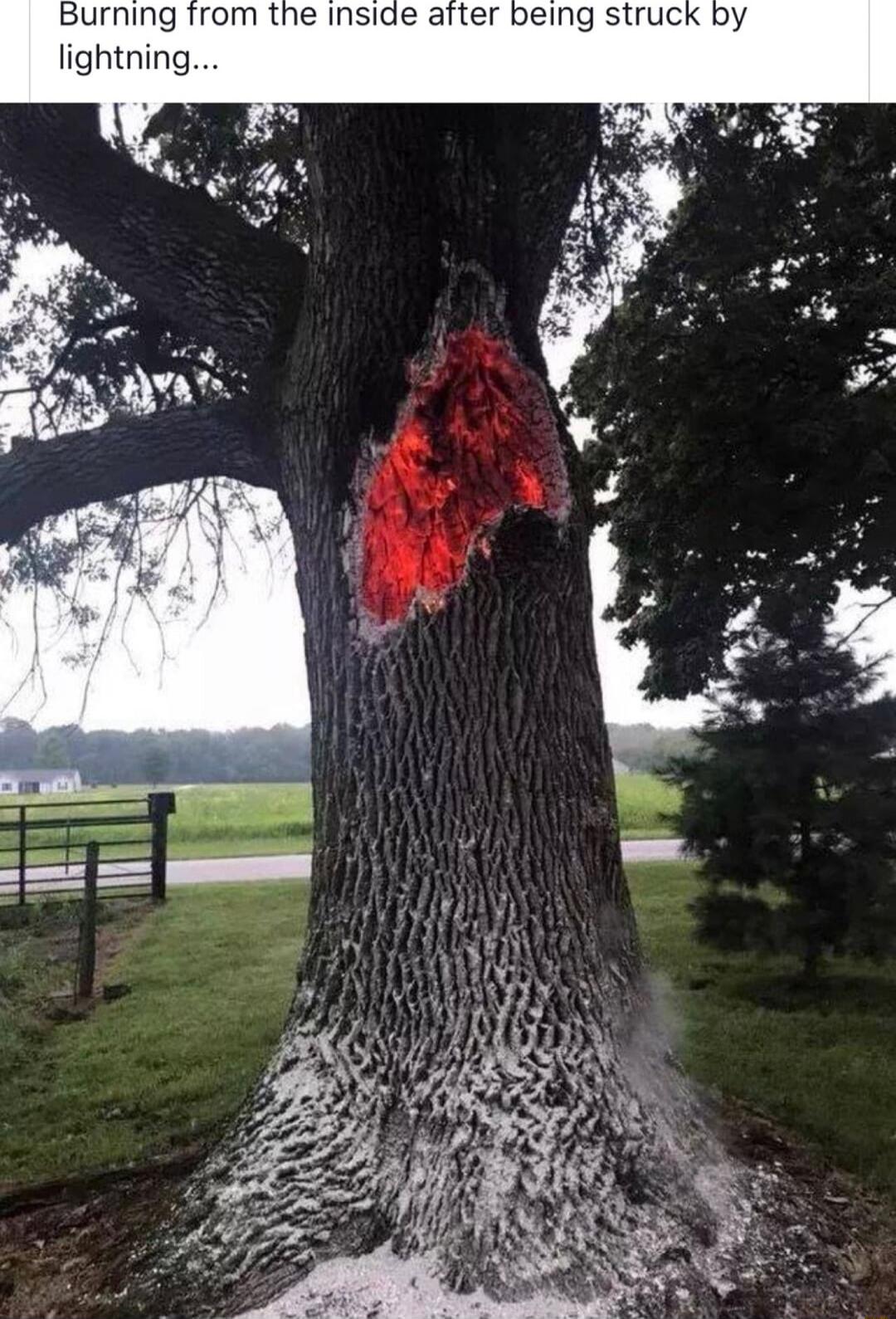 Burning from the inside after being struck by lightning