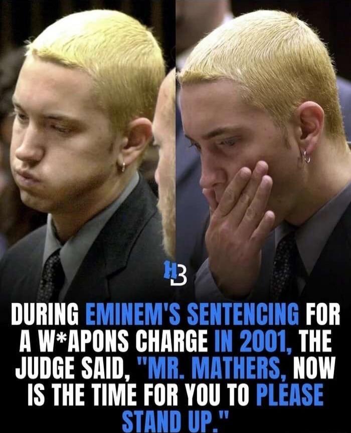 DURING EMINEM'S SENTENCING FOR A W*APONS CHARGE IN 2001, THE JUDGE SAID, 