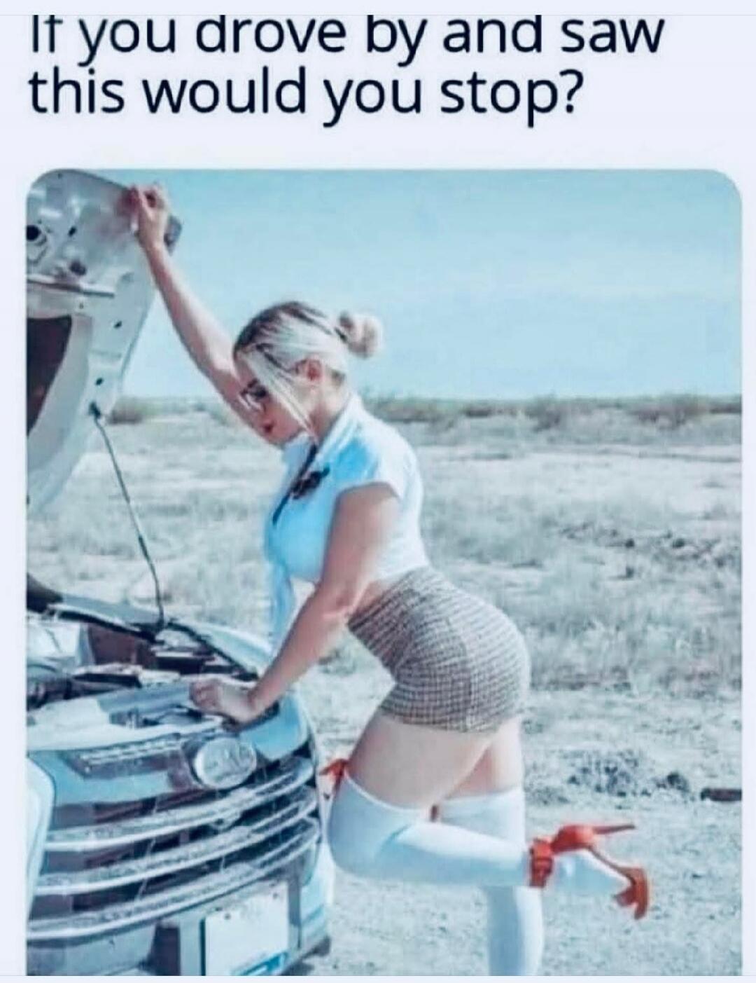 If you drove by and saw this would you stop?