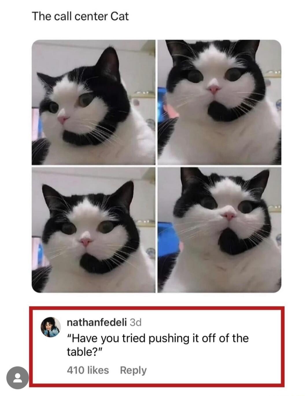 The call center Cat nathanfedeli 3d Have you tried pushing it off of the table 410likes Reply
