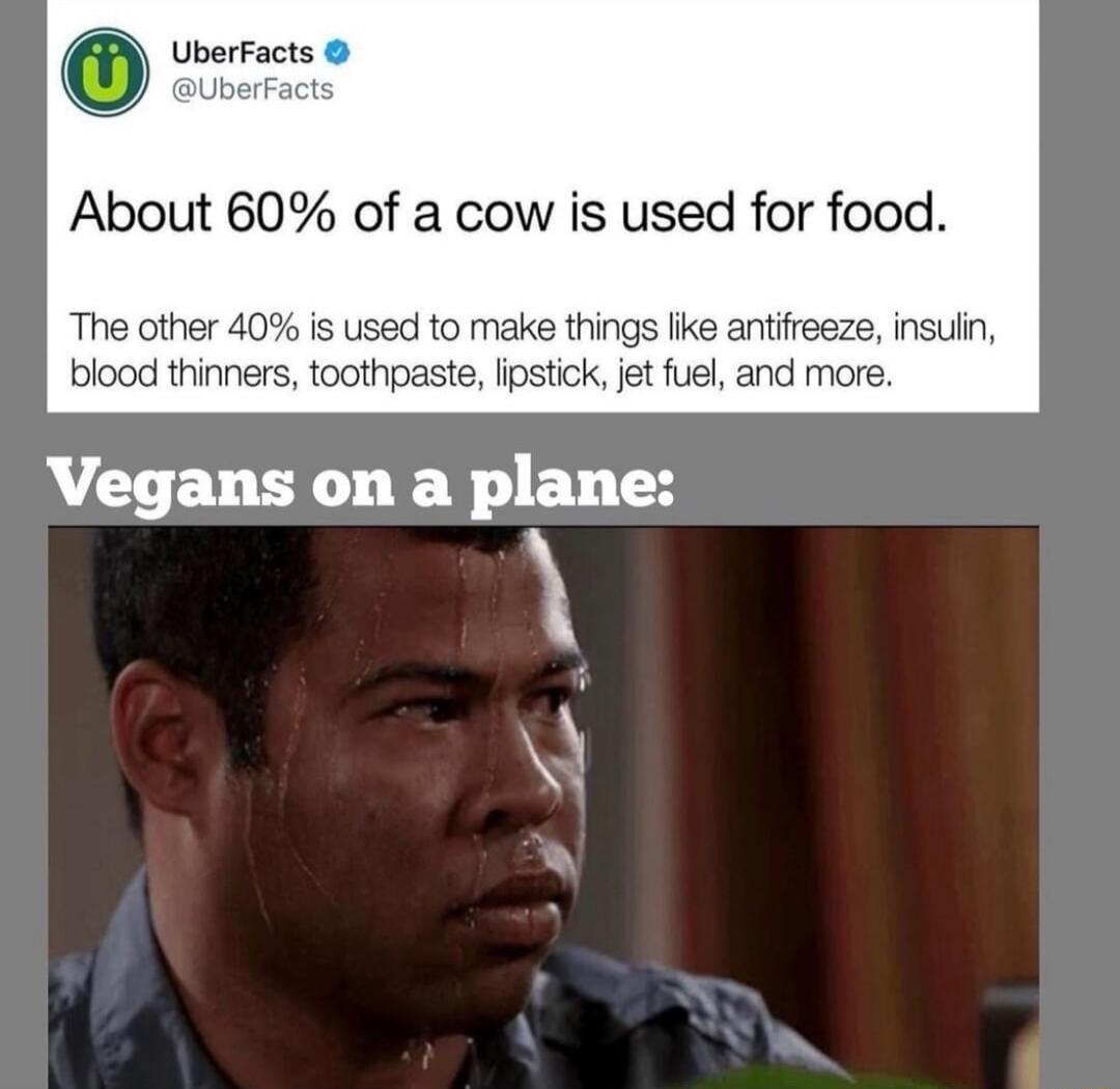 Q UberFacts aUberfact About 60 of a cow is used for food The other 40 is used to make things like antifreeze insulin blood thinners toothpaste lipstick jet fuel and more Vegans on a plane X