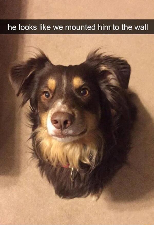 R ICN TCRNE eI Gl T R CRGERVEL