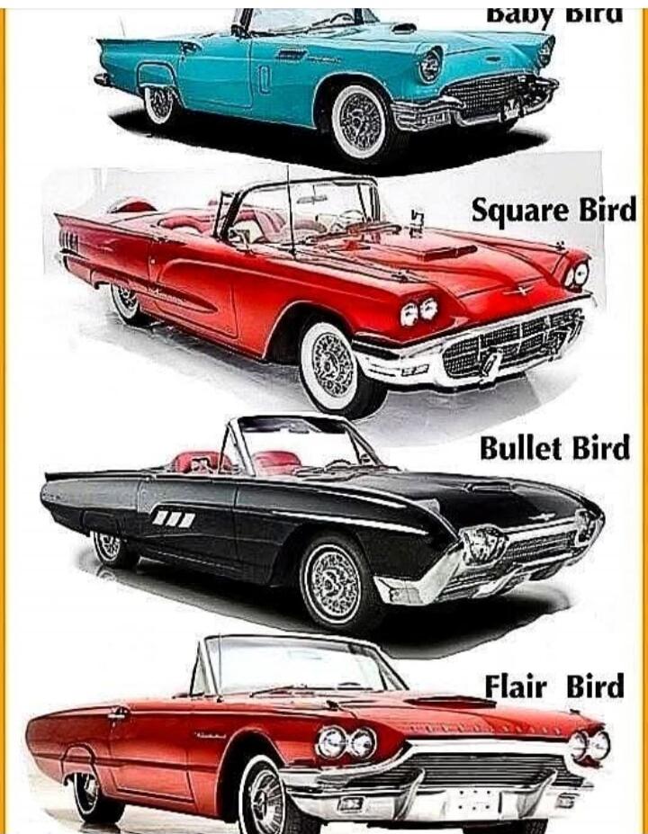 Baby Bird Square Bird Bullet Bird Flair Bird