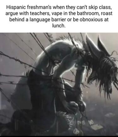 Hispanic freshmans when they cant skip class argue with teachers vape in the bathroom roast behind a language barrier or be obnoxious at lunch