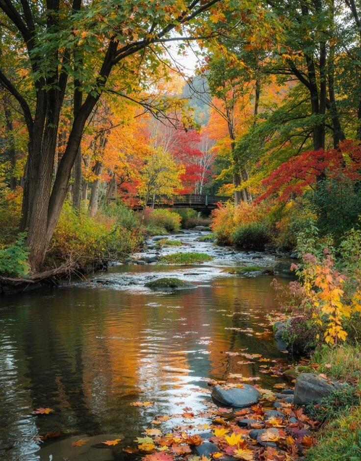 Autumn scene of a river with colorful fall foliage and a bridge in the distance.