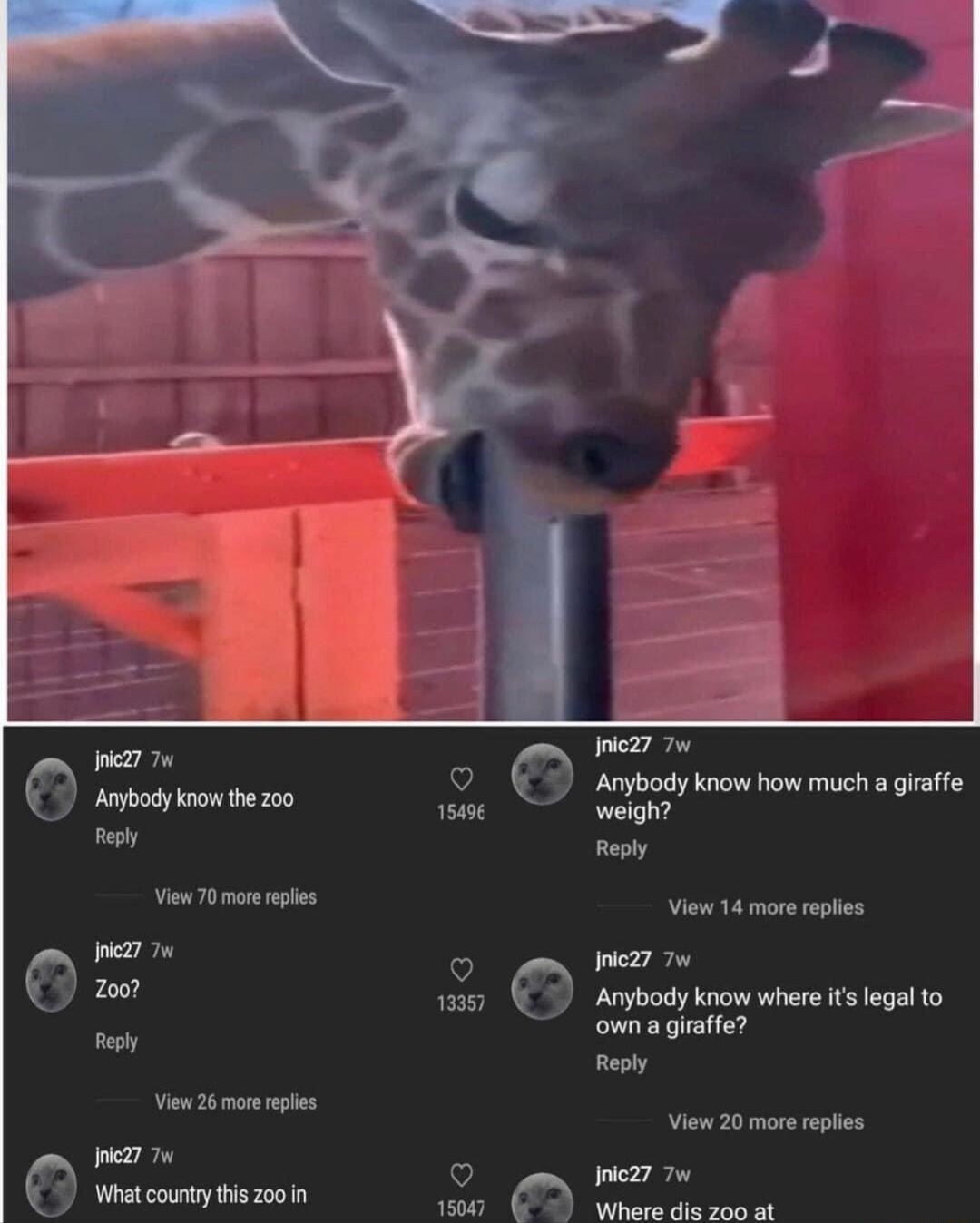 iez7 7w o L L 150 weigh Reply View 14 more eplies 27 7w 157 Anybody know where its legal to owna giraffe Reply View 20 more eplies Y Iiez7 7w 15047 P