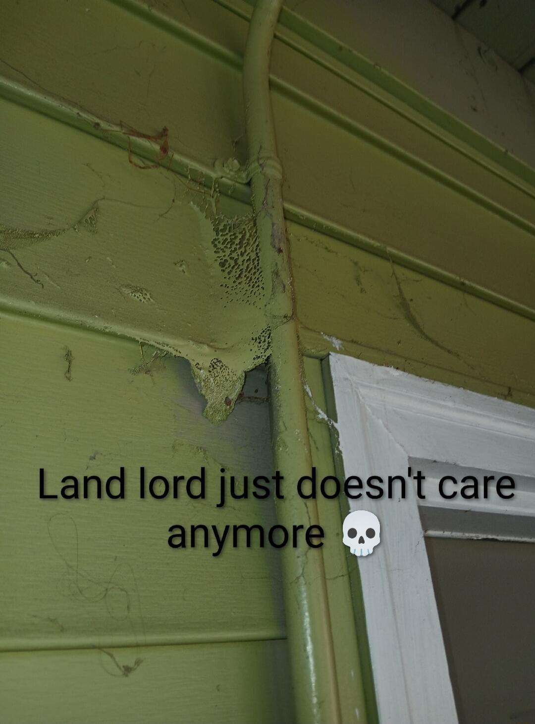 Land lord just doesn't care anymore 💀