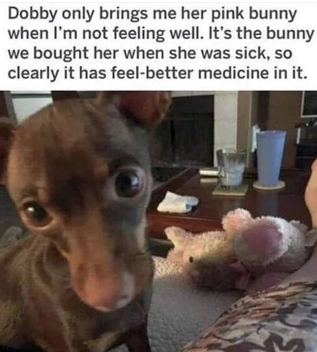 Dobby only brings me her pink bunny when Im not feeling well Its the bunny we bought her when she was sick so clearly it has feel better medicine in it