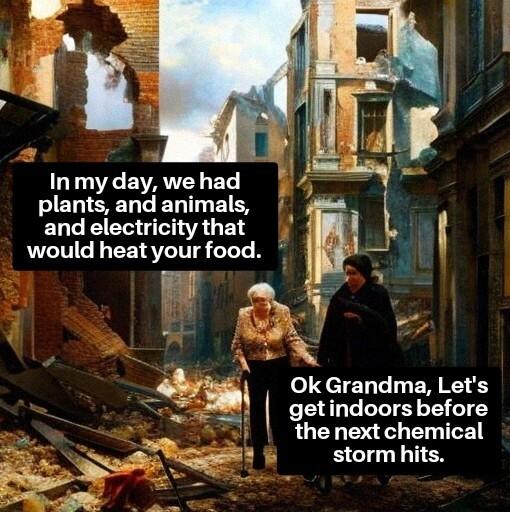 LA EVAUCY BT plants and animals and electricity that B bl would heat your food e Y o LN getindoors before the next chemical storm hits l o 1T LI ER R