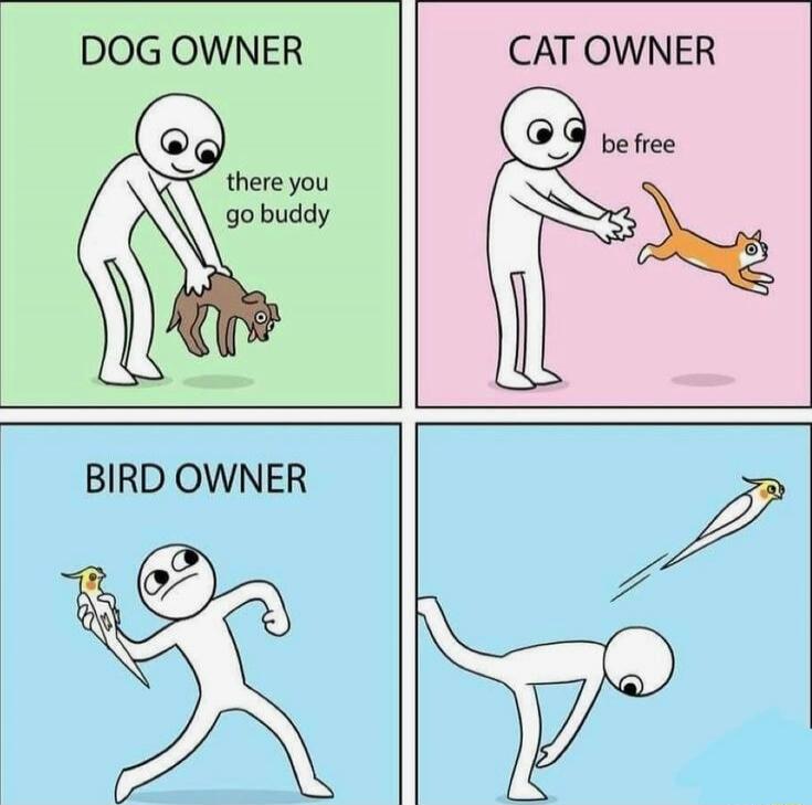 DOG OWNER there you go buddy CAT OWNER be free BIRD OWNER