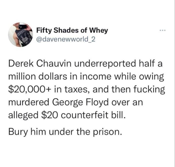 Fifty Shades of Whey davenewworld_2 Derek Chauvin underreported half a million dollars in income while owing 20000 in taxes and then fucking murdered George Floyd over an alleged 20 counterfeit bill Bury him under the prison