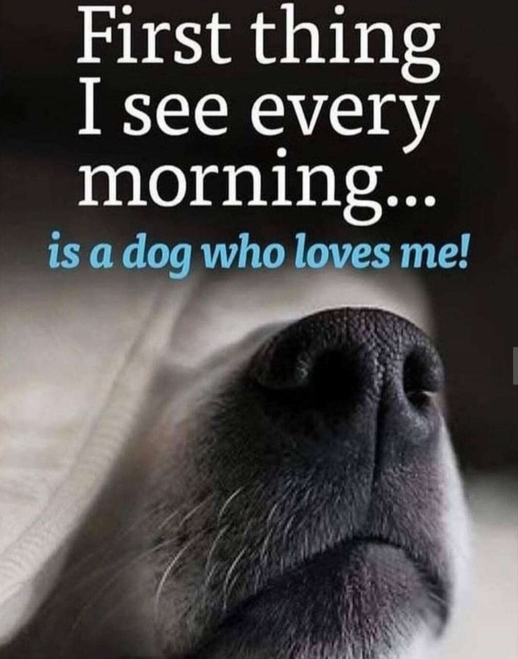 First thing I see every morning... is a dog who loves me!