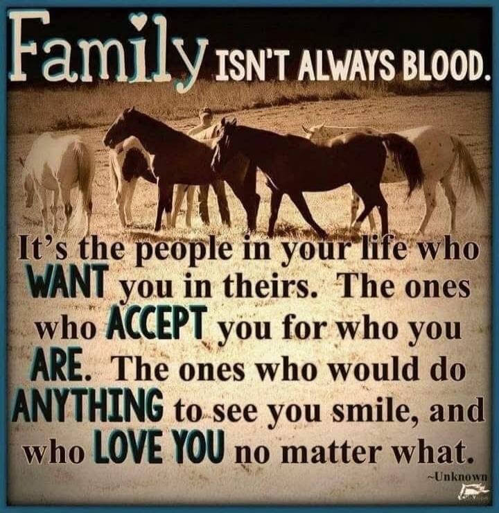 Family ISN'T ALWAYS BLOOD. It's the people in your life who WANT you in theirs. The ones who ACCEPT you for who you ARE. The ones who would do ANYTHING to see you smile, and who LOVE YOU no matter what. ~Unknown