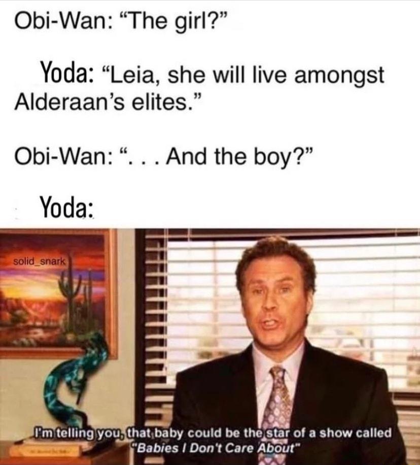 Obi Wan The girl Yoda Leia she will live amongst Alderaans elites Obi Wan And the boy Yoda mtellingyouSthat baby could be thestar of a show called Babies I Dont Care ABSUt 9 Sow