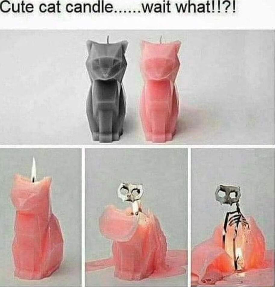 Cute cat candlewait what